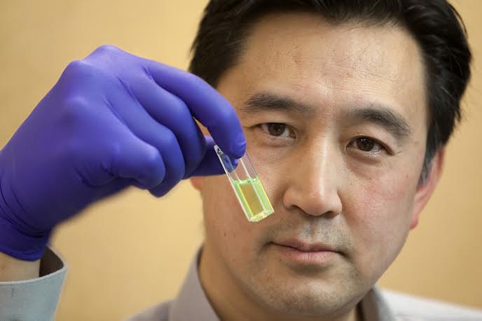 Mark holding fluorescence cuvette